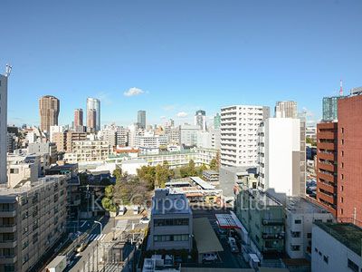 パークホームズ南麻布ザレジデンスの写真 眺望