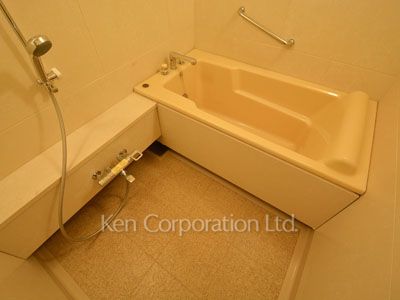 リバーポイントタワーの写真 バスルーム