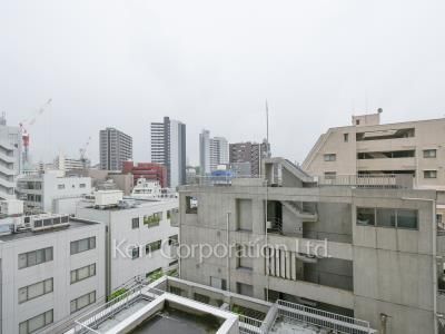 プレイス白金ブライトレジデンスの写真 眺望（居室から）