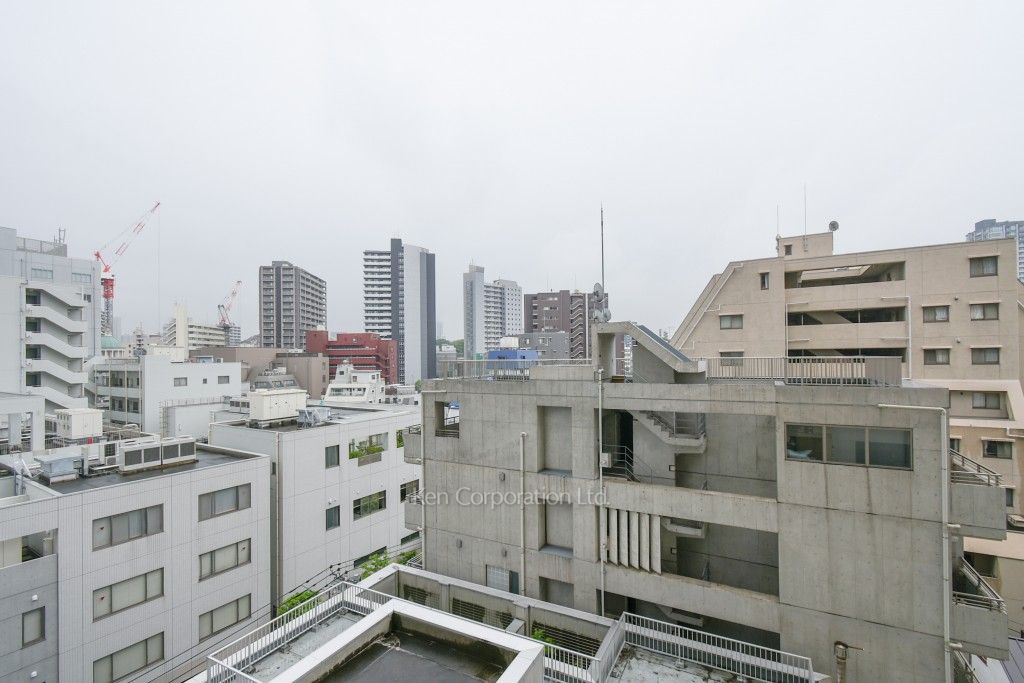プレイス白金ブライトレジデンスの写真 眺望（居室から）