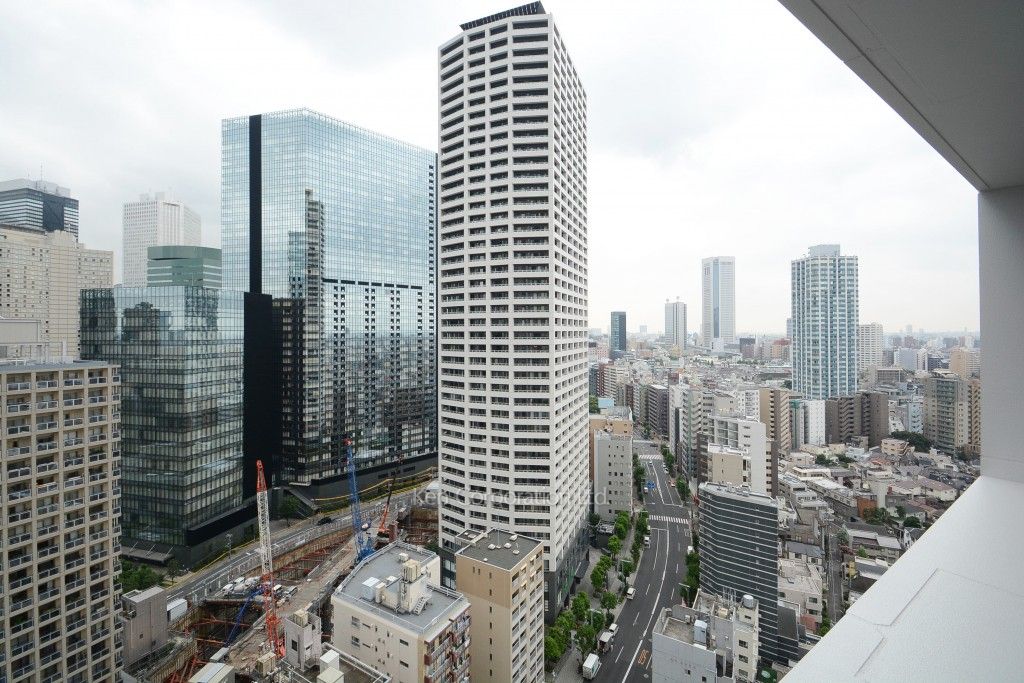 ザ・パークハウス西新宿タワー60の写真 眺望