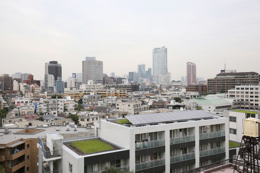 コスモ広尾の写真 眺望