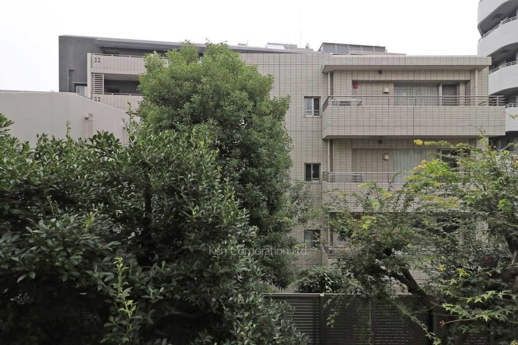 ベルファン西麻布の写真 眺望（居室から）