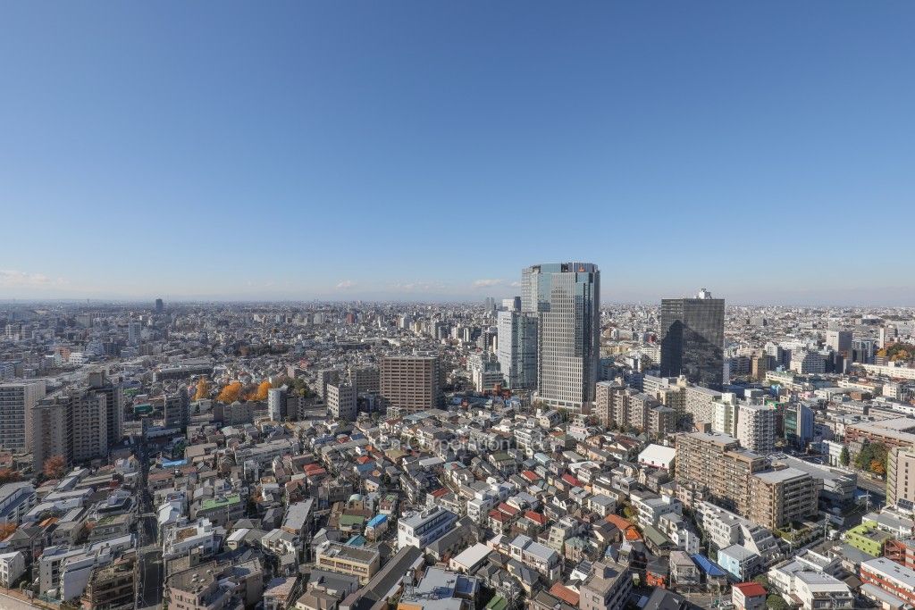 ザ・パークハウス西新宿タワー60の写真 眺望