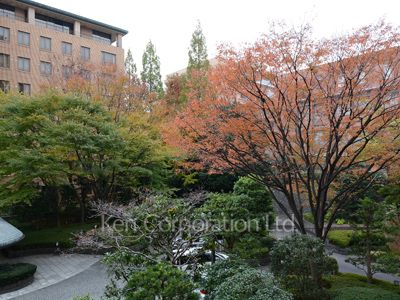 広尾ガーデンヒルズの写真 眺望