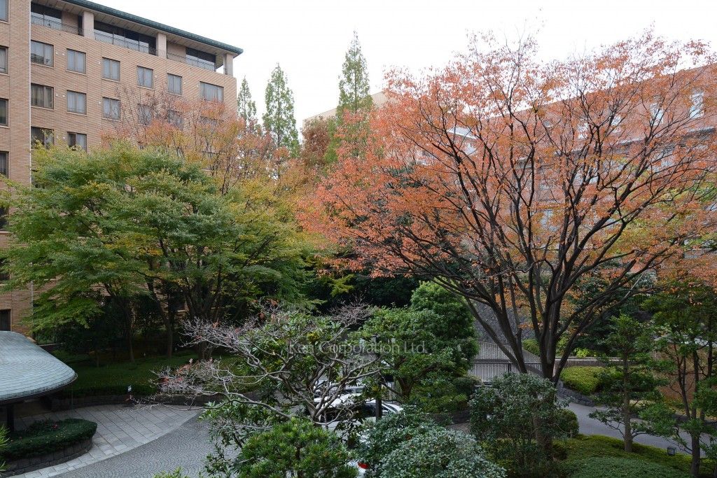 広尾ガーデンヒルズの写真 眺望