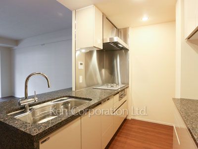 ブランズ渋谷常盤松の写真 キッチン