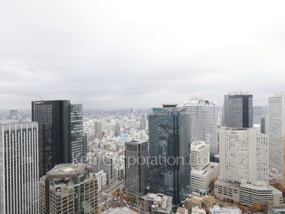 ザ・パークハウス西新宿タワー60の写真 眺望