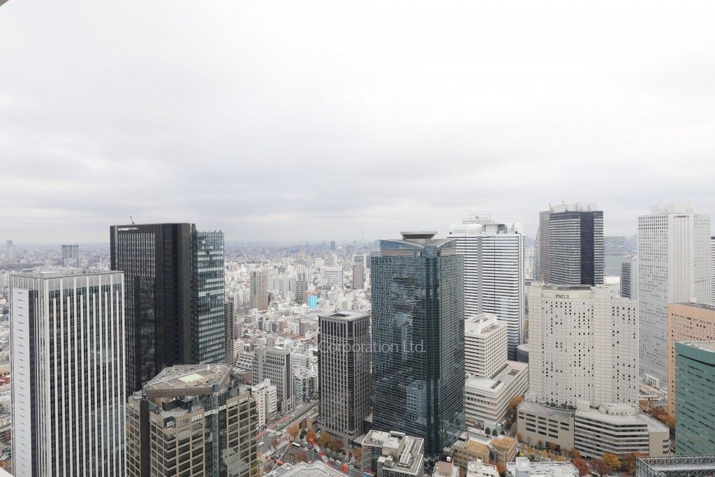 ザ・パークハウス西新宿タワー60の写真 眺望