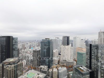 ザ・パークハウス西新宿タワー60の写真 眺望