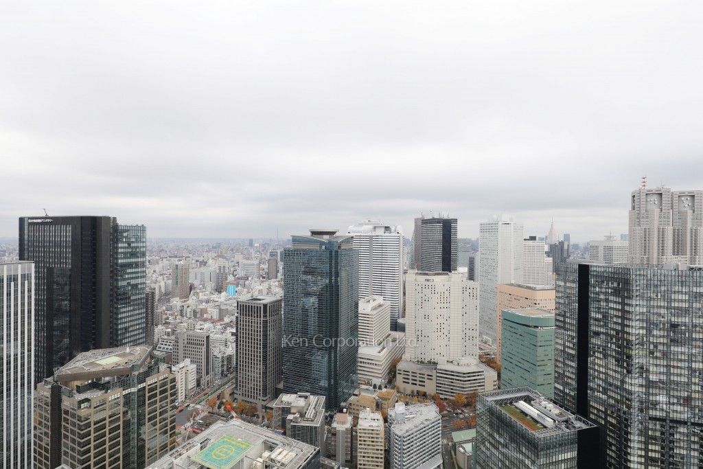 ザ・パークハウス西新宿タワー60の写真 眺望