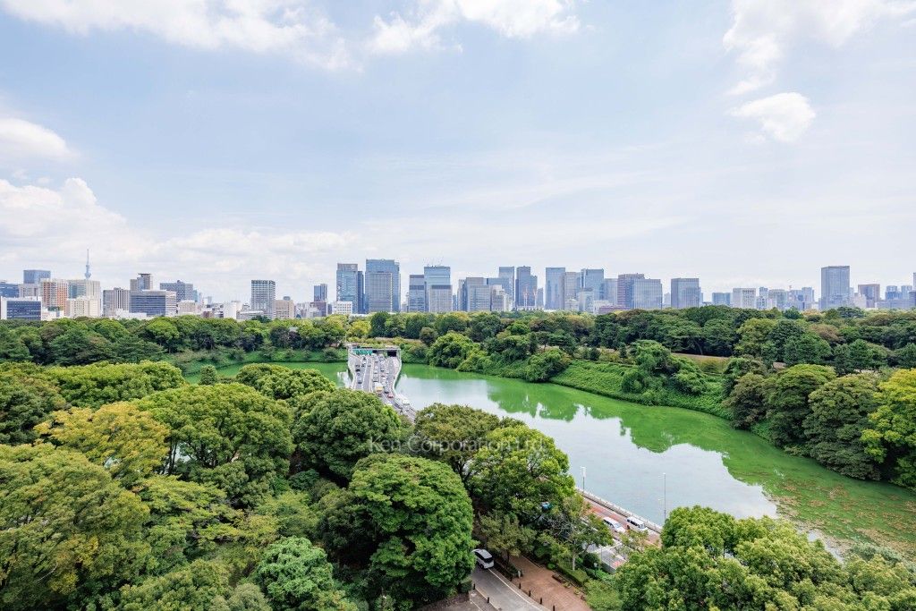ザ・パークハウス グラン 千鳥ヶ淵の写真 眺望（居室から）
