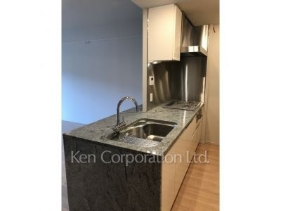 ブランズ渋谷常盤松の写真 キッチン ※写真・画像は実際と異なる場合がございます。部屋写真は同一タイプのものです。（ただし、画像中にタイプ名の記載がある場合はその記載内容を優先します。）