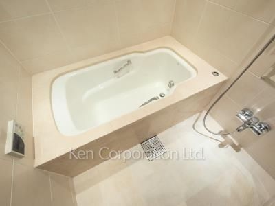 南青山テラス 常盤松フォレストの写真 バスルーム