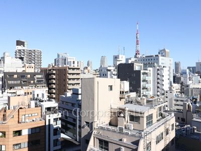 ラベイユ麻布十番の写真 眺望（居室から）