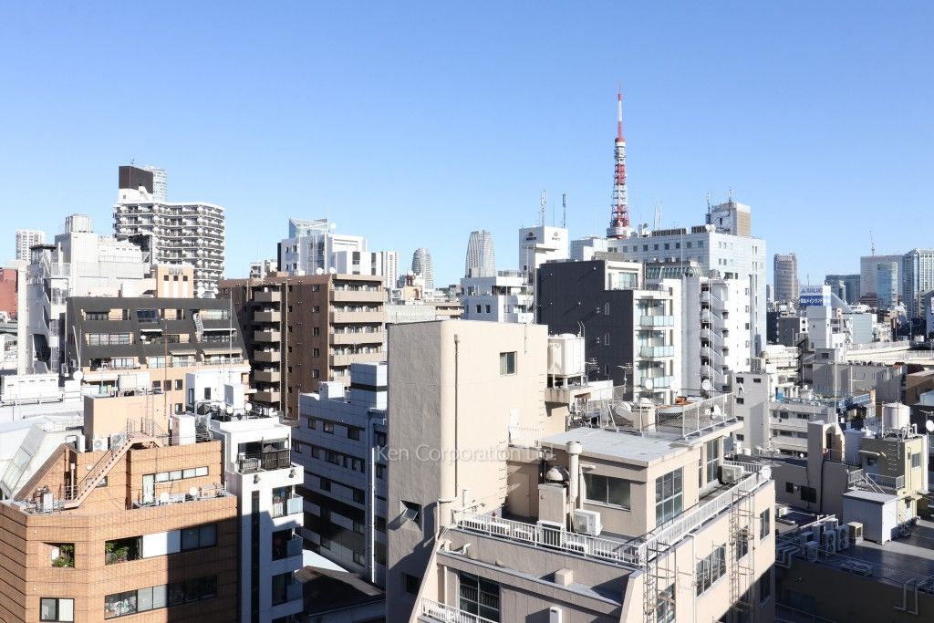 ラベイユ麻布十番の写真 眺望（居室から）