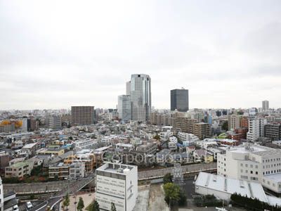 ザ・パークハウス西新宿タワー60の写真 眺望