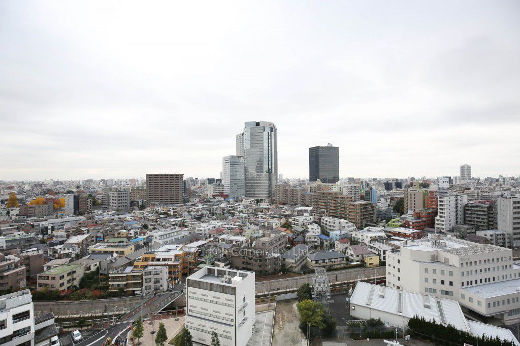 ザ・パークハウス西新宿タワー60の写真 眺望