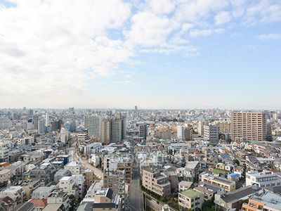 ザ・パークハウス西新宿タワー60の写真 眺望