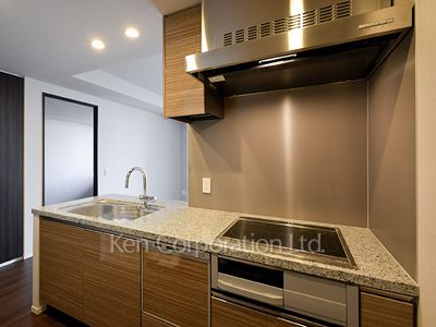 ザ・パークハウス西新宿タワー60の写真 キッチン