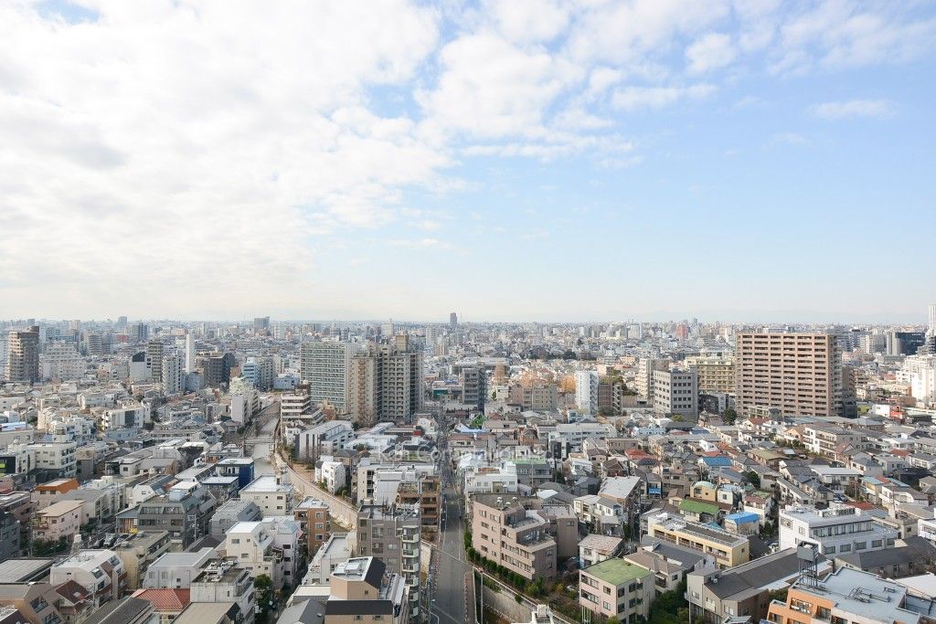 ザ・パークハウス西新宿タワー60の写真 眺望