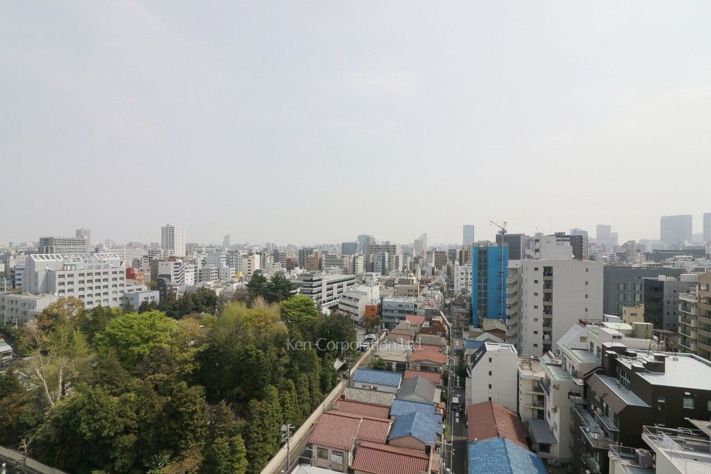 D-room早稲田の写真 眺望