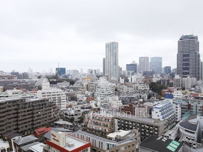 パークコート赤坂檜町ザタワーの写真 眺望
