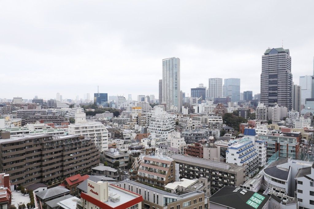 パークコート赤坂檜町ザタワーの写真 眺望