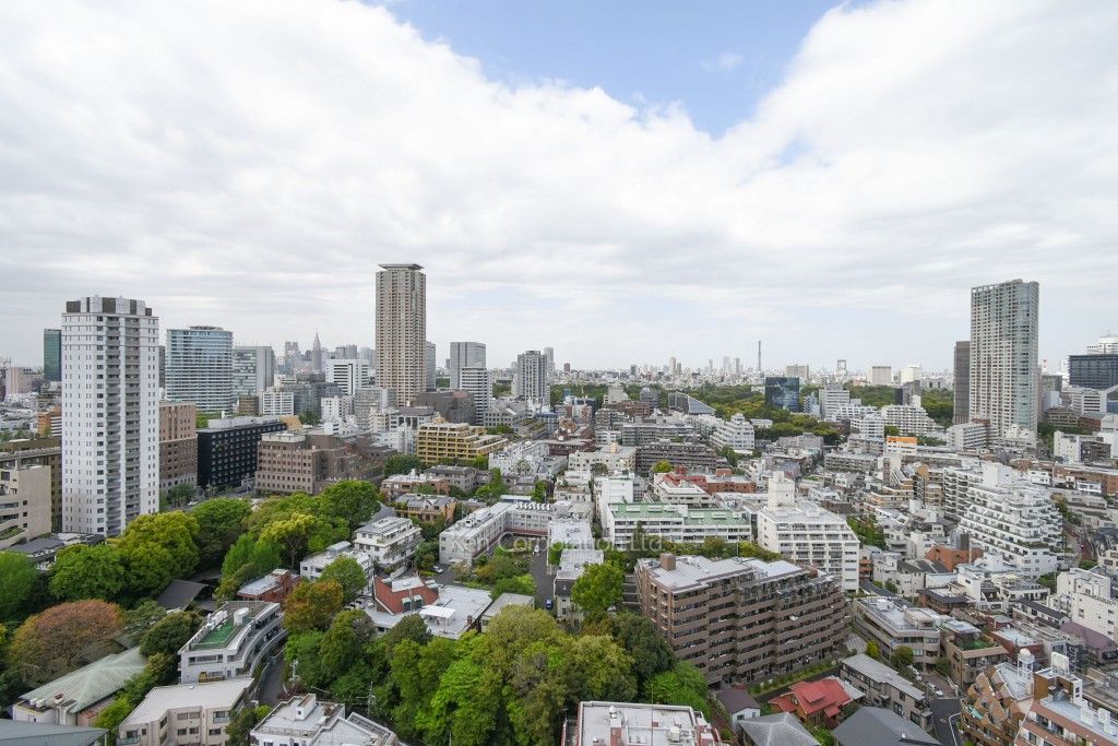 パークコート赤坂檜町ザタワーの写真 眺望