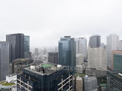 ザ・パークハウス西新宿タワー60の写真 眺望