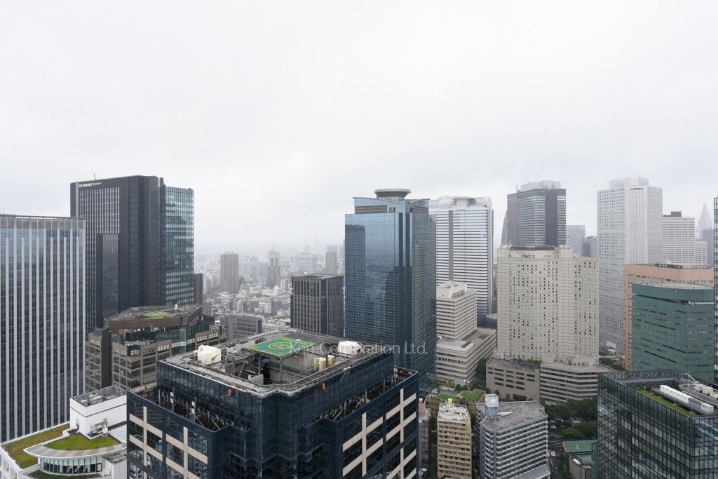 ザ・パークハウス西新宿タワー60の写真 眺望