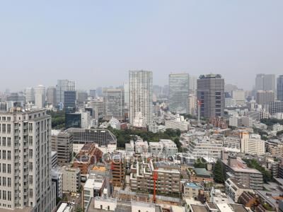 パークアクシス青山一丁目タワーの写真 眺望（居室から）