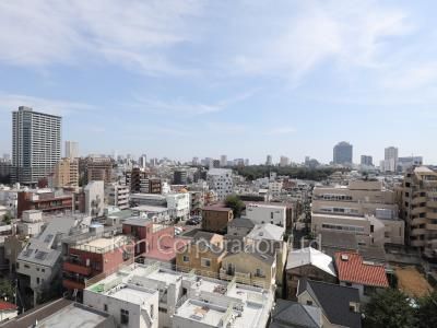 ザ・パークハビオ恵比寿プレイスの写真 眺望（居室から）