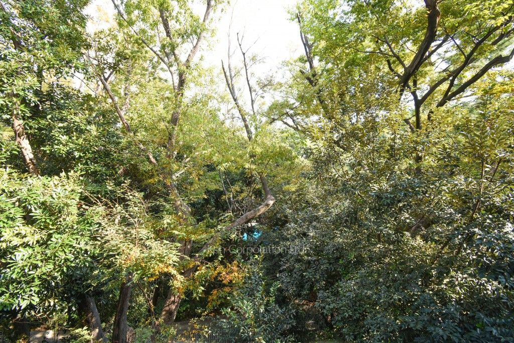 プラウド南麻布の写真 眺望（居室から）