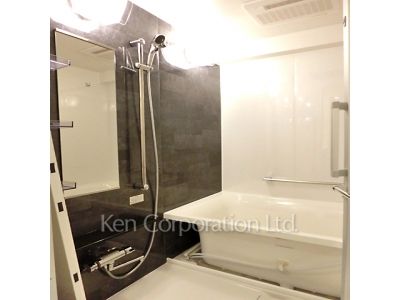 パークアクシス市谷加賀町の写真 バスルーム ※写真・画像は実際と異なる場合がございます。部屋写真は同一タイプのものです。（ただし、画像中にタイプ名の記載がある場合はその記載内容を優先します。）