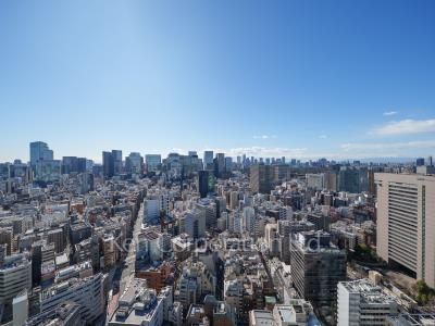 ワテラスタワーレジデンスの写真 眺望（居室から）