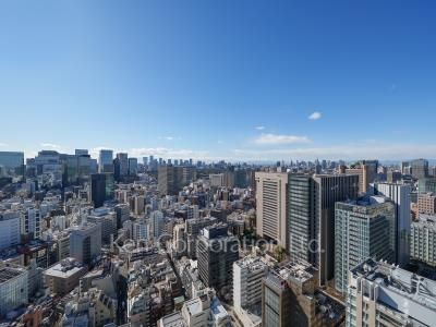 ワテラスタワーレジデンスの写真 眺望（居室から）