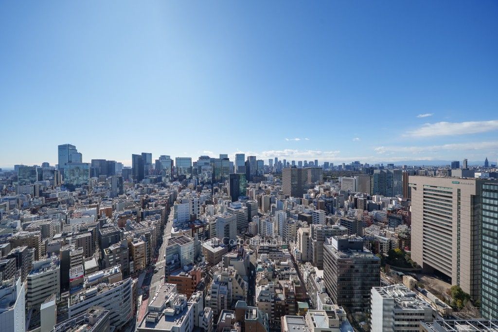 ワテラスタワーレジデンスの写真 眺望（居室から）