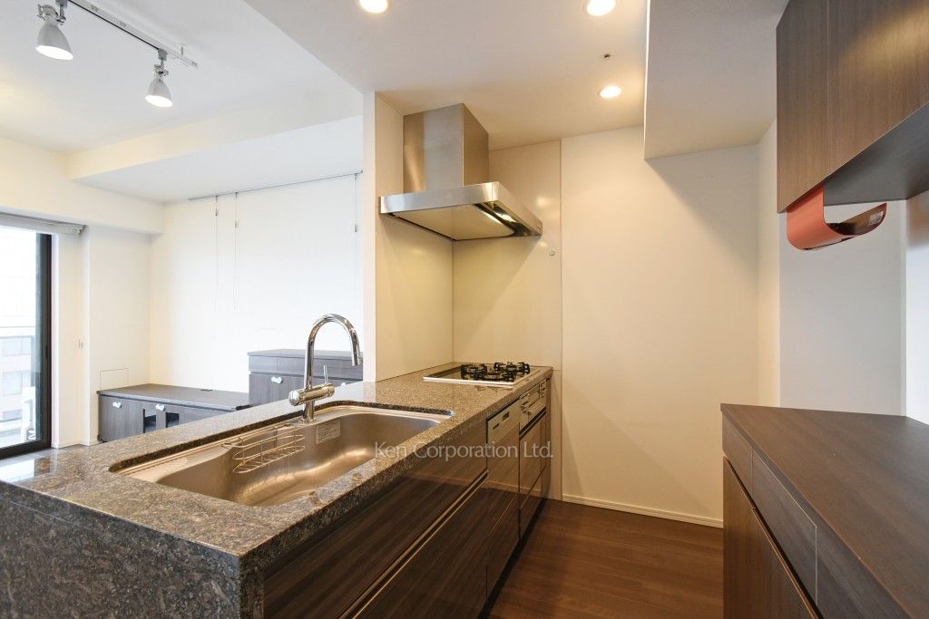 ルフォン白金台ザ・タワーレジデンスの写真 キッチン