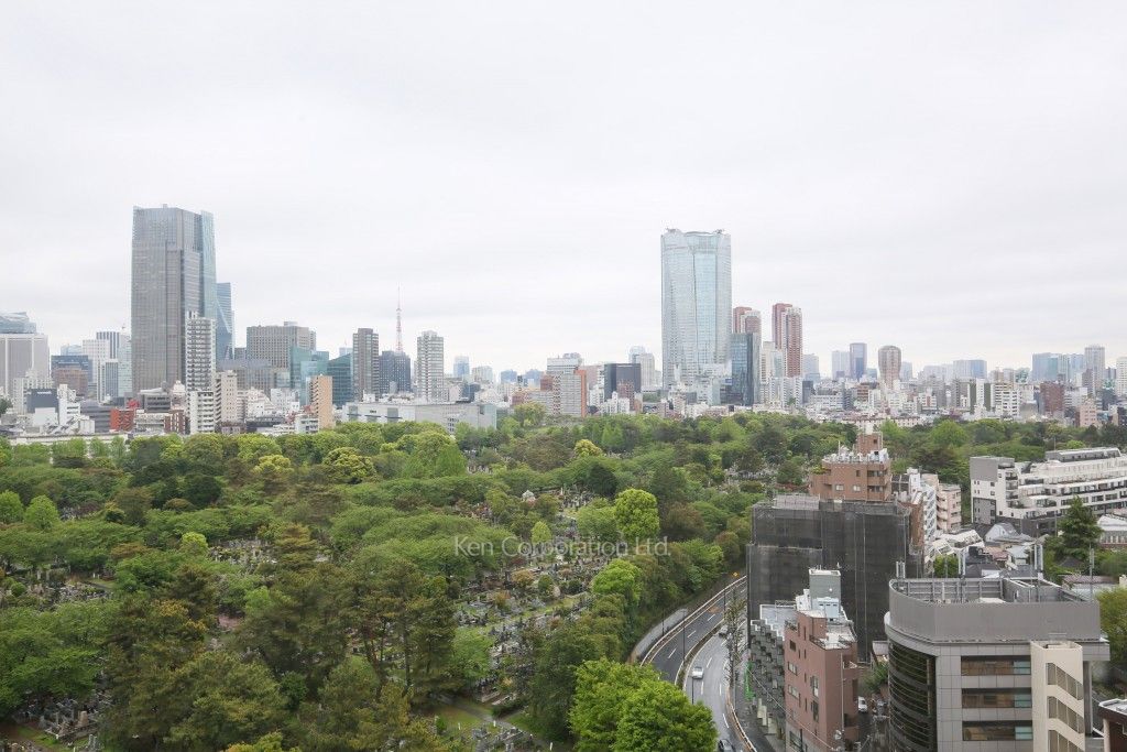 青山ザ・タワーの写真 眺望（居室から）