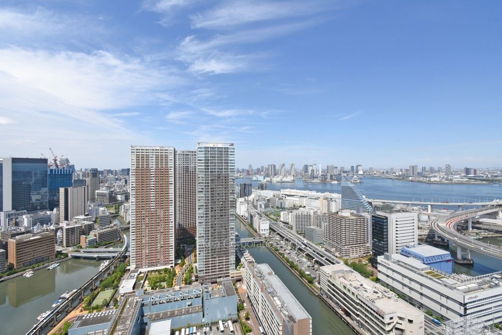 芝浦アイランド ケープタワーの写真 眺望（居室から）