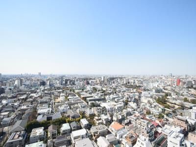 ラ・トゥール渋谷宇田川の写真 眺望（居室から）