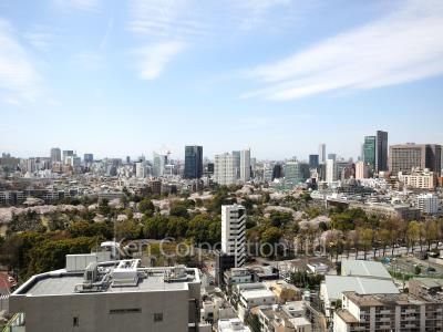 パークコート乃木坂ザ・タワーの写真 眺望（居室から）
