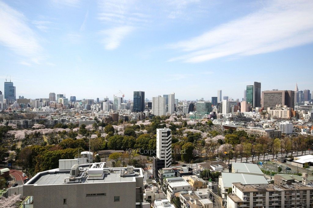 パークコート乃木坂ザ・タワーの写真 眺望（居室から）