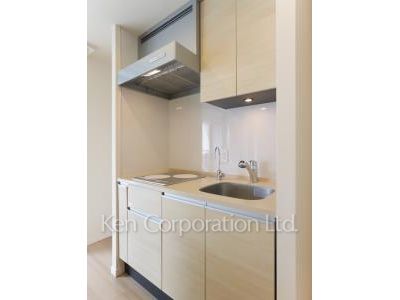 セントラルパークタワー ラ・トゥール新宿の写真 キッチン