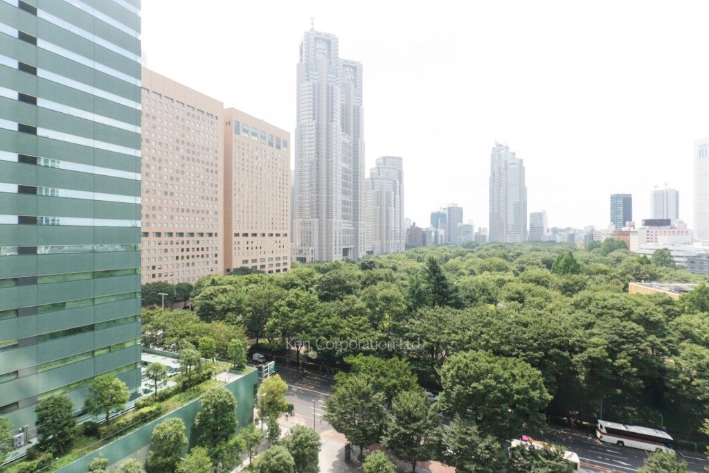 セントラルパークタワー ラ・トゥール新宿の写真 眺望（居室から）