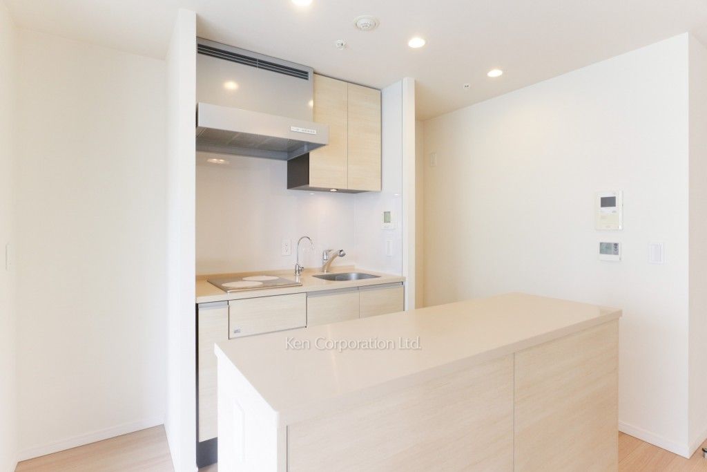 セントラルパークタワー ラ・トゥール新宿の写真 キッチン