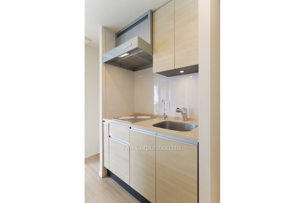 セントラルパークタワー ラ・トゥール新宿の写真 キッチン