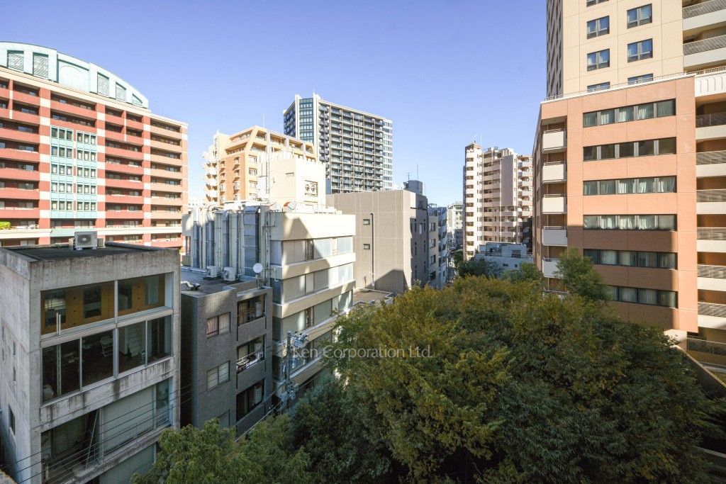 グランドメゾン恵比寿の杜フロントレジデンスの写真 眺望（居室から）