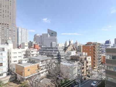 ザ・パークハウス渋谷南平台の写真 眺望（居室から）